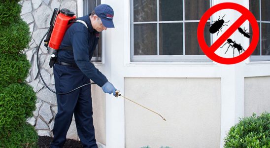 Sinop Gümüşkurt İlaçlama böcek ilaçlama ve haşere kontrolü — ilaclama-tr.com